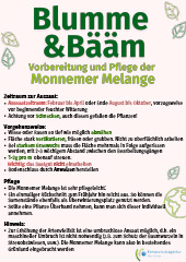 Download Blumme & Bääm